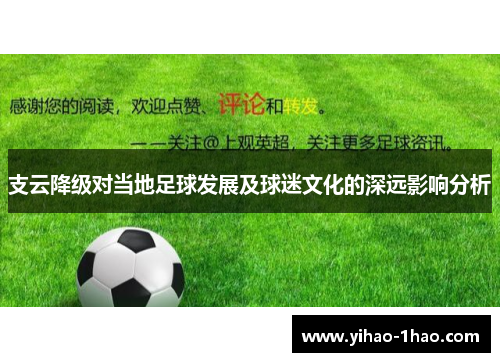 支云降级对当地足球发展及球迷文化的深远影响分析