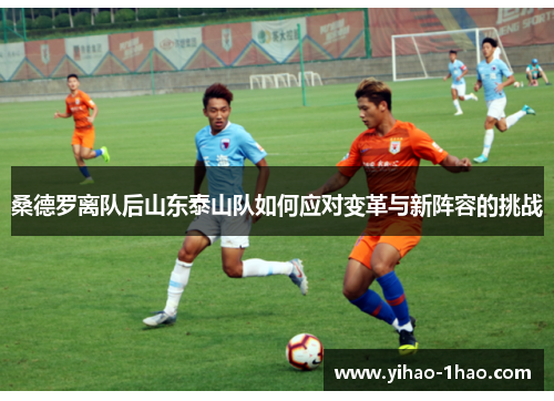 桑德罗离队后山东泰山队如何应对变革与新阵容的挑战